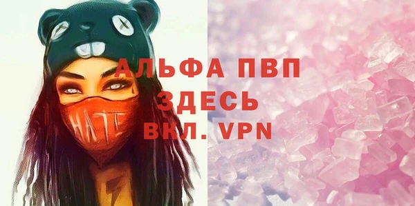 гидра Богданович