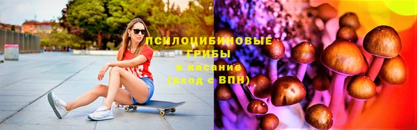 ешки Богородицк