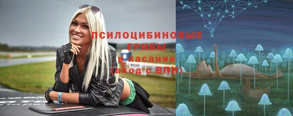 тгк Богородск