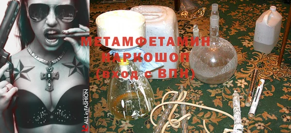 гидра Богданович
