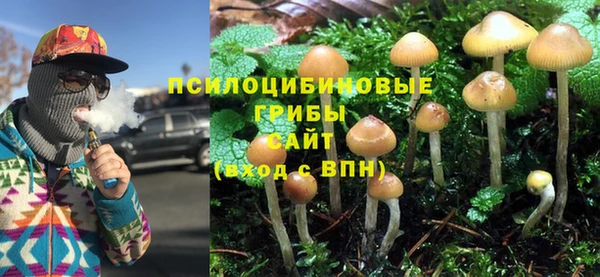 тгк Богородск