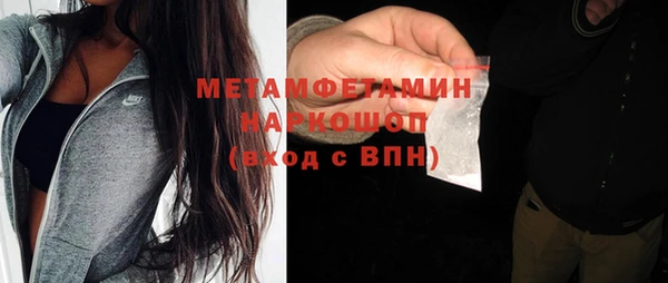 гидра Богданович