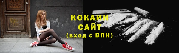 гидра Богданович