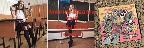 гидра Богданович