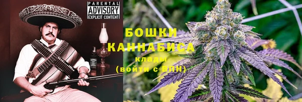 гидра Богданович