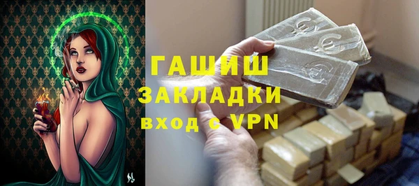 гидра Богданович