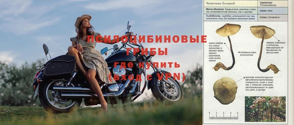 тгк Богородск