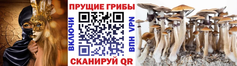 ОМГ ОМГ онион  Челябинск  это какой сайт  Галлюциногенные грибы GOLDEN TEACHER 